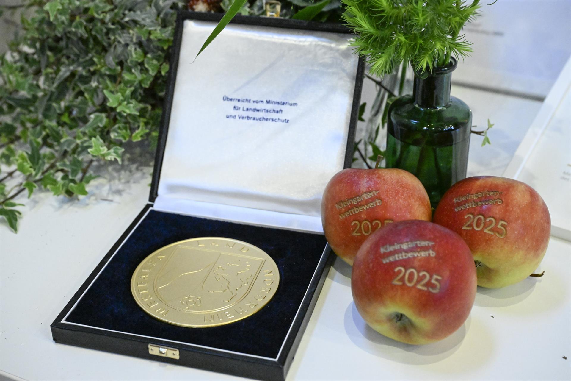 Grüne Oasen aus Westfalen-Lippe überzeugen beim Landeswettbewerb 2025